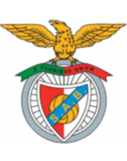 https://img.wxzjyjs.com/img/football/team/13d8d22b32e0803f939082416da63541.png